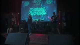 Scatology Secretion (ESP): NSE fest Day 2 - live full set 4K handicam Nov 7, 2025