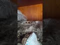 10 июня 2024 г.