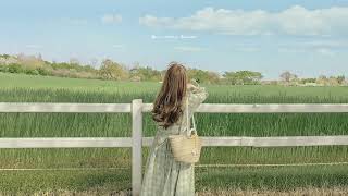 a quiet summer playlist for flowers, tea and reading 🌿