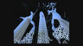 The Real Brain Science of Dementia by Jay Ingram