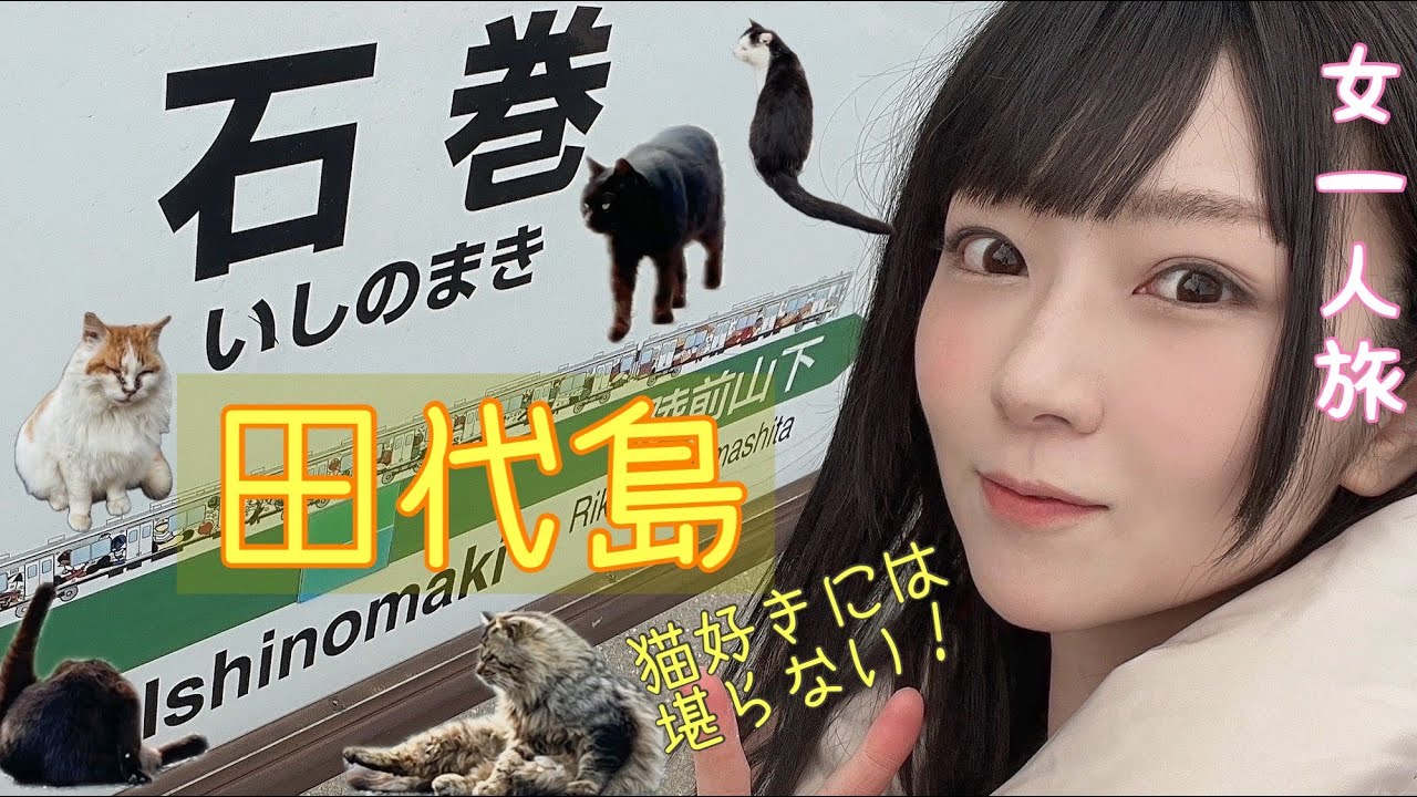 【女一人旅】田代島の猫ちゃん達に癒される旅！仙台で味わう極上牛タン