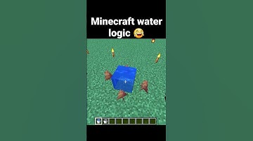 Minecraft Water Logic Makes No Sense 😂 part 2 #shorts #minecraft