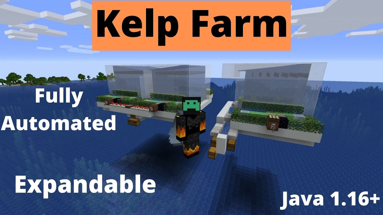 Best Scalable/Expandable Automatic Kelp Farm Java 1.17