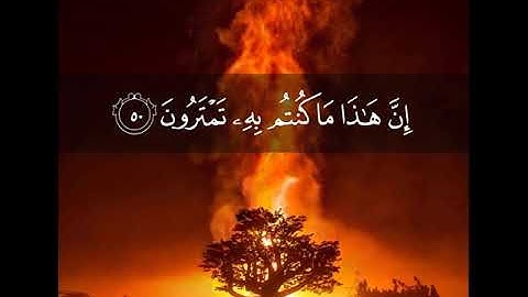 تلاوة خاشعة بصوت القارئ إسلام صبحي/حالات واتس اب