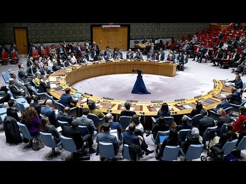 США наложили вето на проект резолюции СБ ООН о прекращении огня в Газе