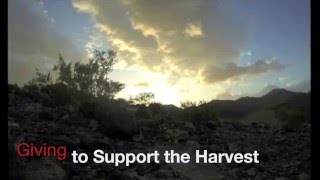 Giving to MABTS HD
