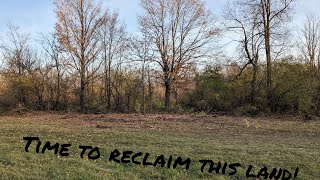 This Kioti Feeds On Brush! Clearing Old Farm Land With The 2610!