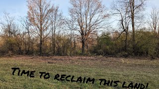 This Kioti Feeds On Brush! Clearing Old Farm Land With The 2610! by Upstate Gearheads 4,819 views 1 year ago 18 minutes