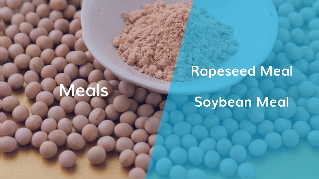 APT Global business.