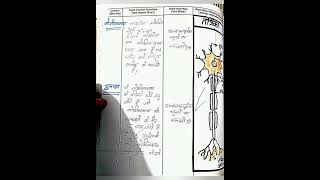 Macro Teaching Of Life Science Lesson Plan 20