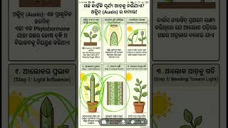 NCERT General Science in ODIA | Plant Hormones | Competitive Exams #science #online #biology
