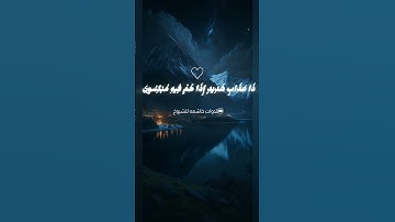 قران كريم بصوت الشيخ ياسر الدوسري سوره المؤمنون|qurankarimBy SheikhYasser Al-DosariSurahAl-Mu'minoon