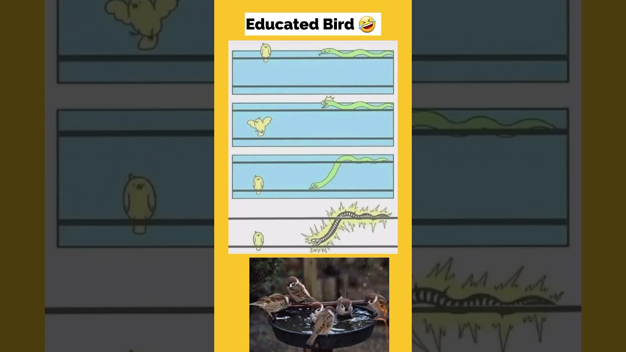 Educated Bird 🐦 😂