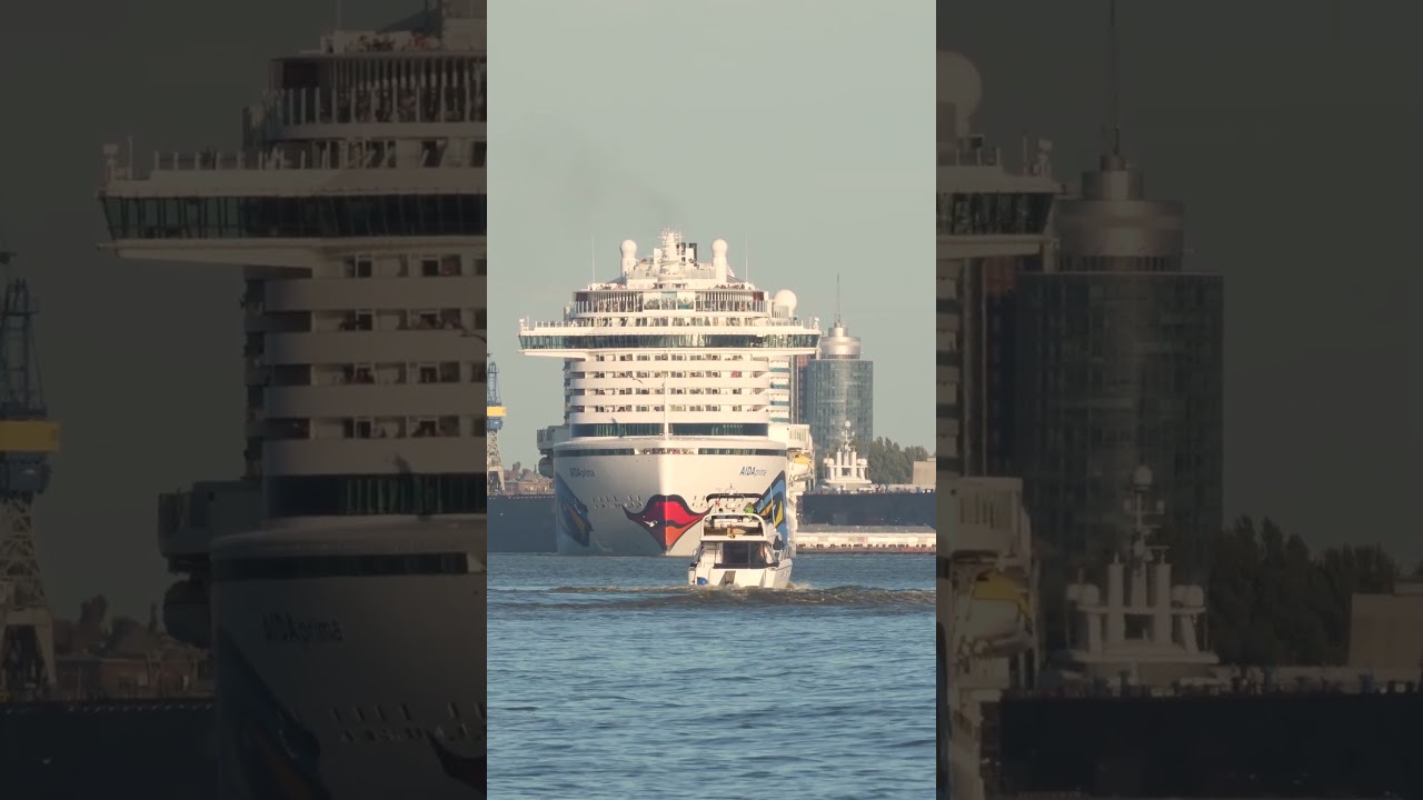 Pilot Boat Crosses the AIDAprima 🚢🚤 | Hamburg 25.09.2026