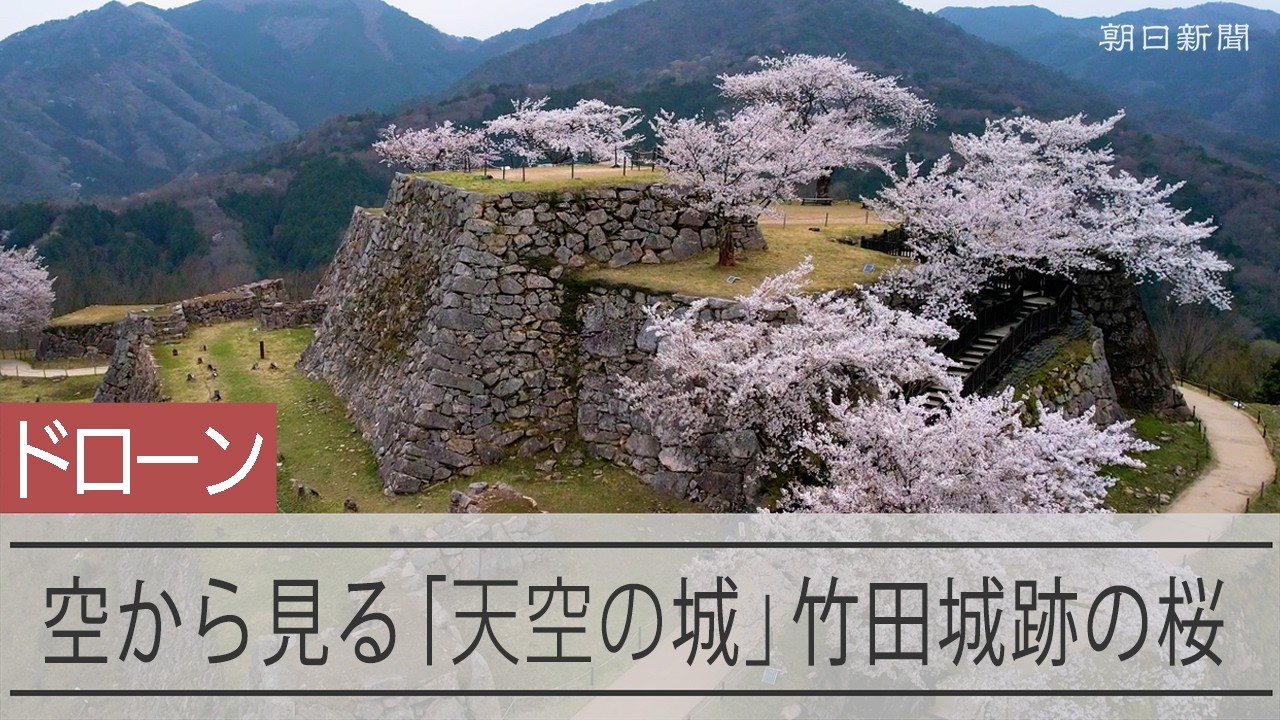 天空の城」竹田城跡の桜が満開 ドローンで上空から撮影 - YouTube