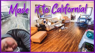 OVERNIGHT IN AN AIRPORT  |  TRAVIS AFB PET LODGING