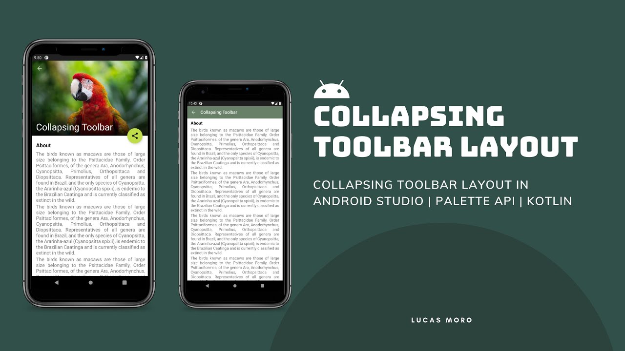 Collapsing Toolbar Layout in Android Studio | Palette API | Kotlin ...