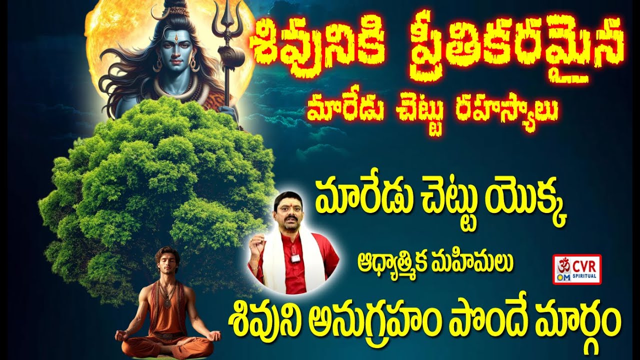 మారేడు చెట్టు కింద ధ్యానం వల్ల కలిగే అద్భుత ప్రయోజనాలు | Meditate Under Bael Tree | CVR OM