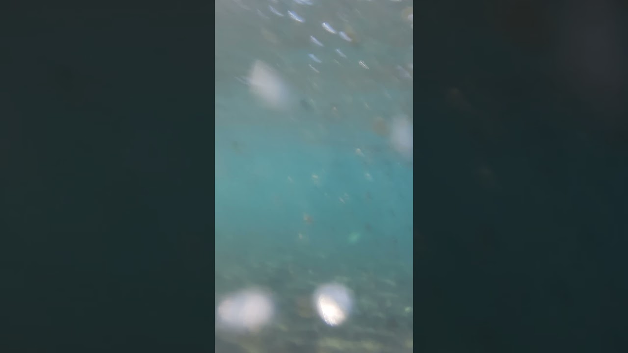 Así es un chapuzón en Lican Ray (chile)