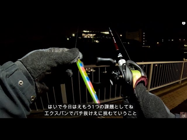 EXSENCE S900L/F-S Solid Chaserバチ抜け