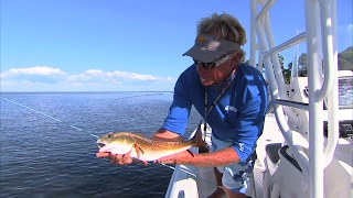 Choctawhatchee Bay Fishing For Redfish in Destin Florida