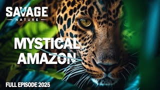 WILD AMAZON | An Adventure Through the Imposing Jungle