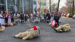 Download Lagu Ansamblul Folcloric „Străjerii” din Suceava – Jocul ursului în curtea TVR MP3