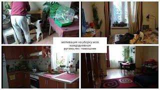 Видео МОТИВАЦИЯ НА УБОРКУ,МОЯ КАЖДОДНЕВНАЯ РУТИНА,ПЕС-ПОМОШНИК (автор: Nata Life)