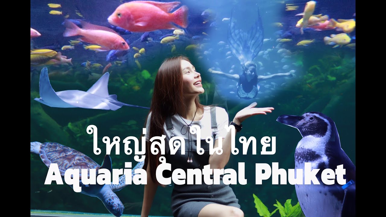 เที่ยว อควาเรียม ที่ใหญ่ที่สุดในประเทศไทย Aquaria Central Phuket