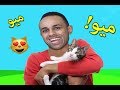 قطتي صغيرة واسمها كيتى | Cat Simulator !! 