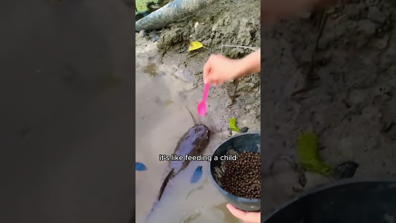 Cross-racial friendship. 