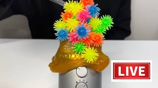 あなたの睡眠を助ける寝る前のASMR LIVE💤