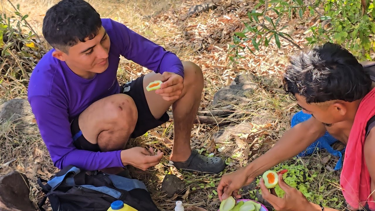 😋disfrutando de los ricos mangos tiernos 