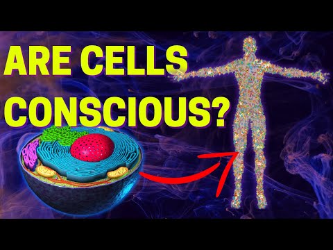 Are Cells Conscious?