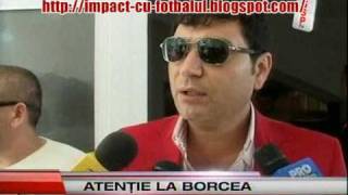 Borcea-Becali-Netoiu