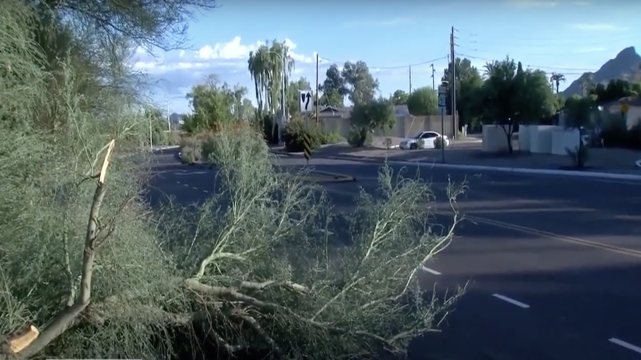 Latest headlines: Monsoon storm damage, Central High back at school and 2 people killed in Avondale