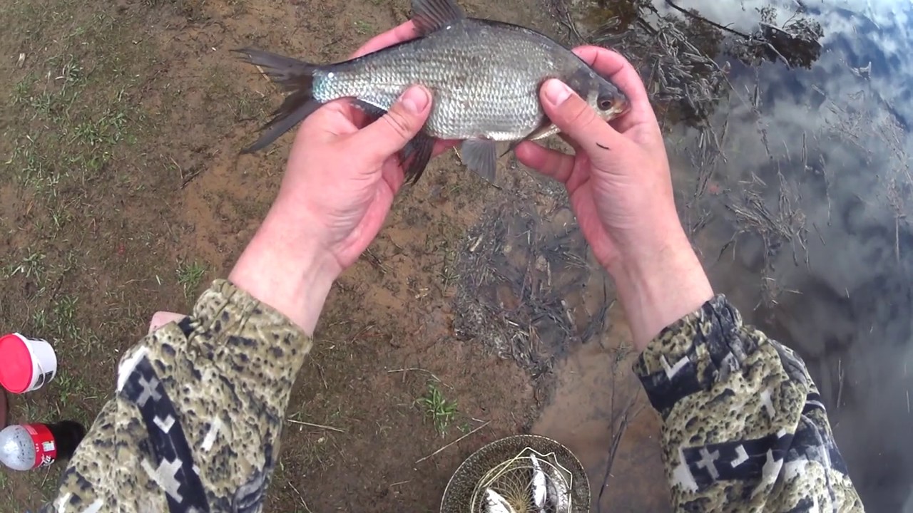 Рыбалка на озере - YouTube