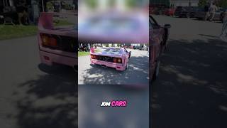 Pink Ferrari F40 SHOCKS Car Meet! Skyline Appreciation