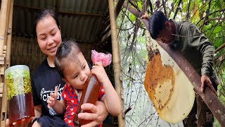 Huong was very happy to see the honey Hung took from the forest - Papaya flowers soaked in honey.