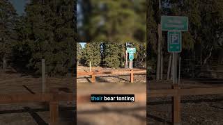 This Bear Safety Rule Could Save Your Life #survival