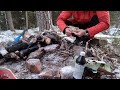 #Норвегия /Релаксираща разходка в гората