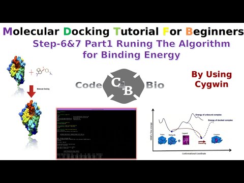 Molecular Docking | Step-6 & 7 Part-1 | Runing Algorithm for Binding Energy | Binding Affinity