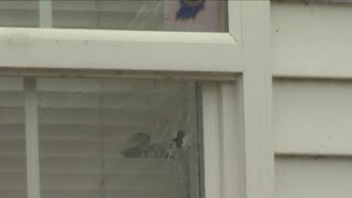 EPD responds to multiple shots fired calls