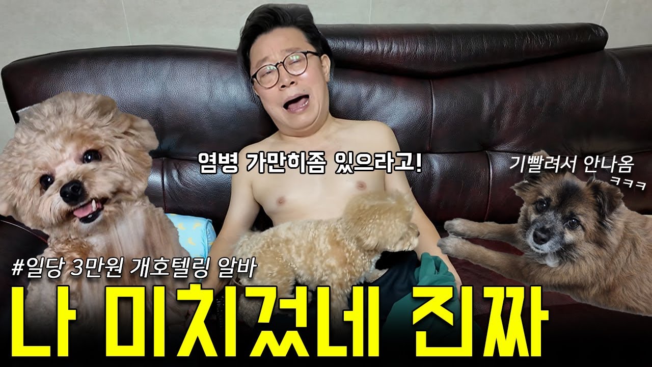 E가족들도 기빨려 쓰러지는 극EEEE 새끼강아지 손님 모십니다요 ( I들은 보지마시오 l 이정도면 7성급 강아지 호텔 맞죠잉?)