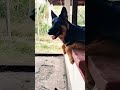 മിടുക്കി സിയകുട്ടി ❤️❤️