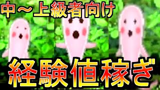 Yokai Watch 2] Experience point earning and leveling up for