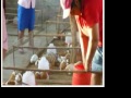 Biohuertos Familiares y  Crianza de Cuyes como Alternativa de Desarrollo Local