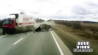Auto Vines 22