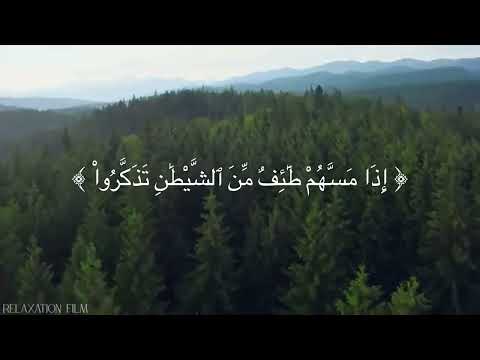 وإما ينزغنك من الشيطان نزغ الشيخ سعد الغامدي