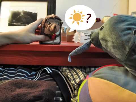 IKEA 居家改造創意短片 Kott&Hed